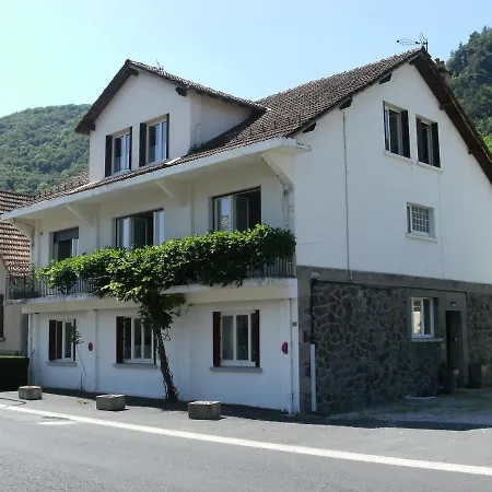 Les Glycines Apartment Vic-sur-Cere Exterior photo