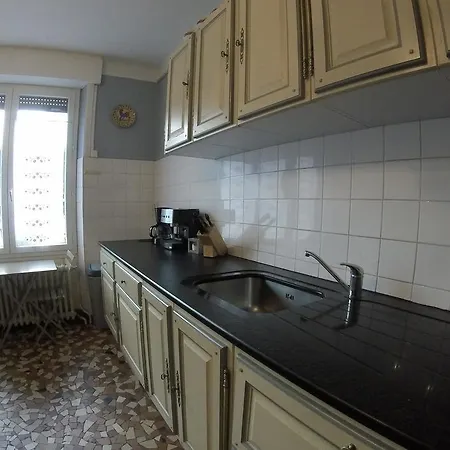 Les Glycines Apartment Vic-sur-Cere Exterior photo